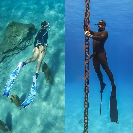 Chrysomare & 5* أيا نابا