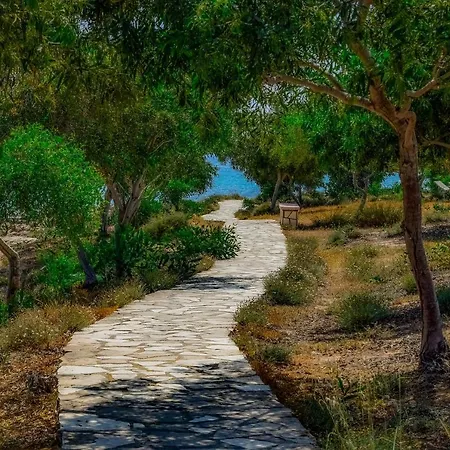 Hotel Chrysomare & Ayia Napa